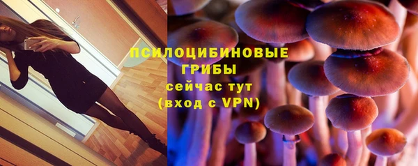 гашик Волоколамск