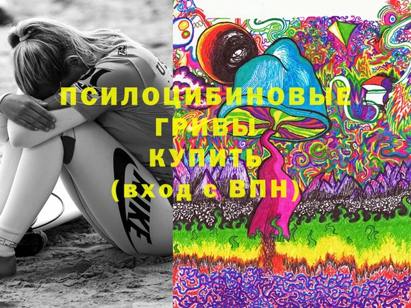 гашик Волоколамск
