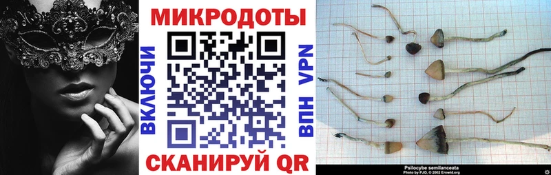 Галлюциногенные грибы мицелий  Карабаш 